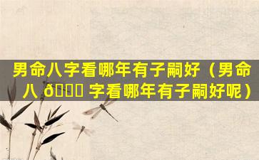 男命八字看哪年有子嗣好（男命八 🐕 字看哪年有子嗣好呢）